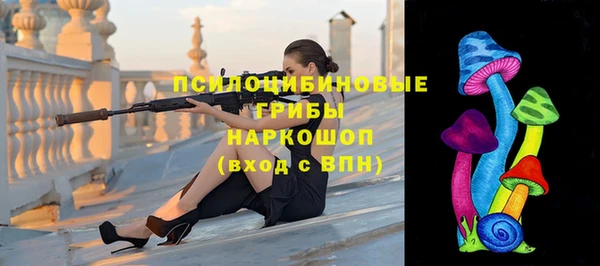 ПСИЛОЦИБИНОВЫЕ ГРИБЫ Гусиноозёрск
