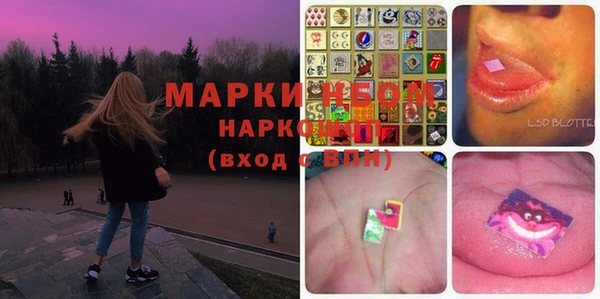 ПСИЛОЦИБИНОВЫЕ ГРИБЫ Гусиноозёрск