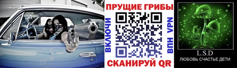 Купить  Кяхта  Галлюциногенные грибы Cubensis 
